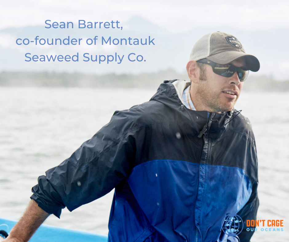 Featured image for “Sean Barrett, Montauk Seaweed Supply Co”