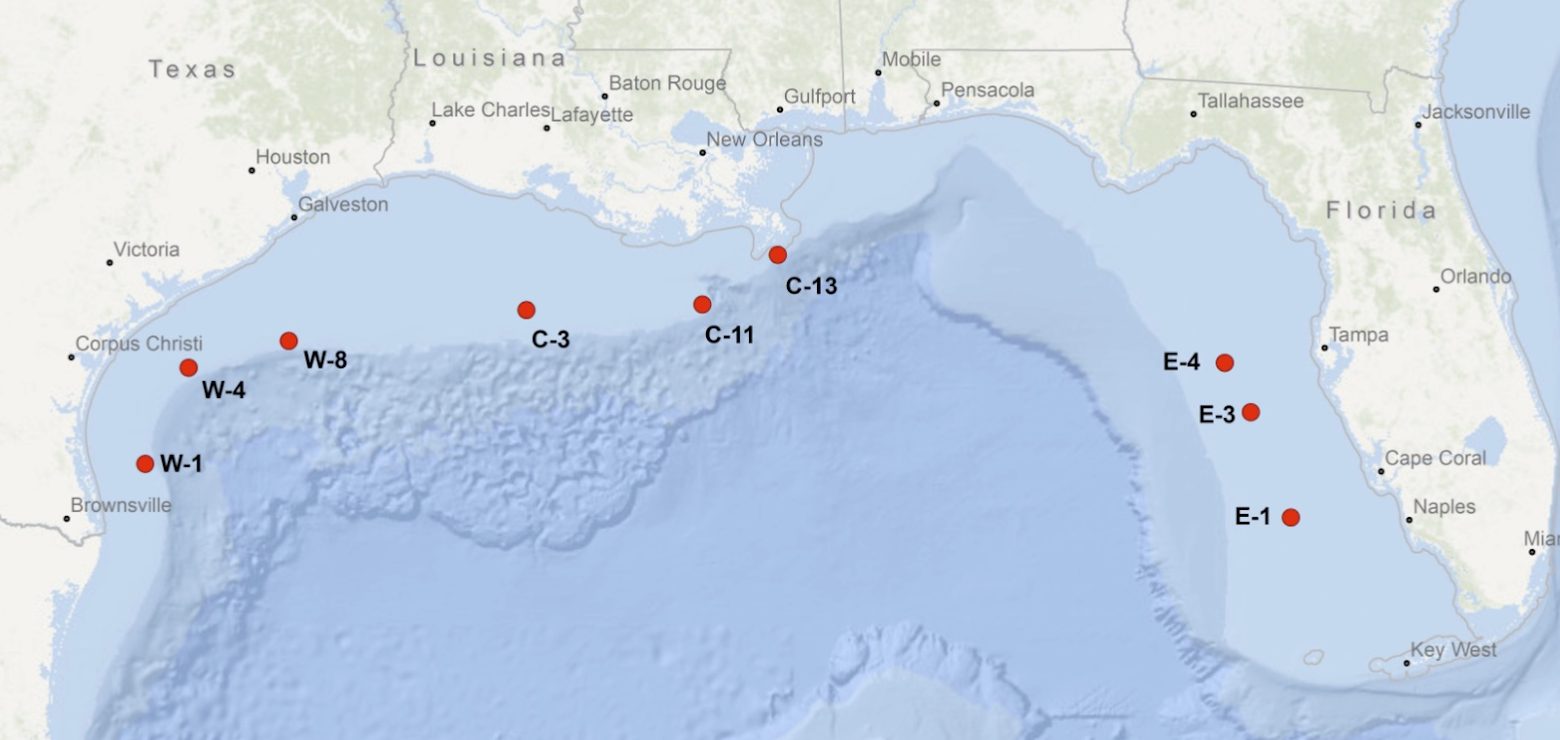 Featured image for “The Coming Threat: Offshore Fish Farms in the Gulf of Mexico. . . How Did We Get Here?”